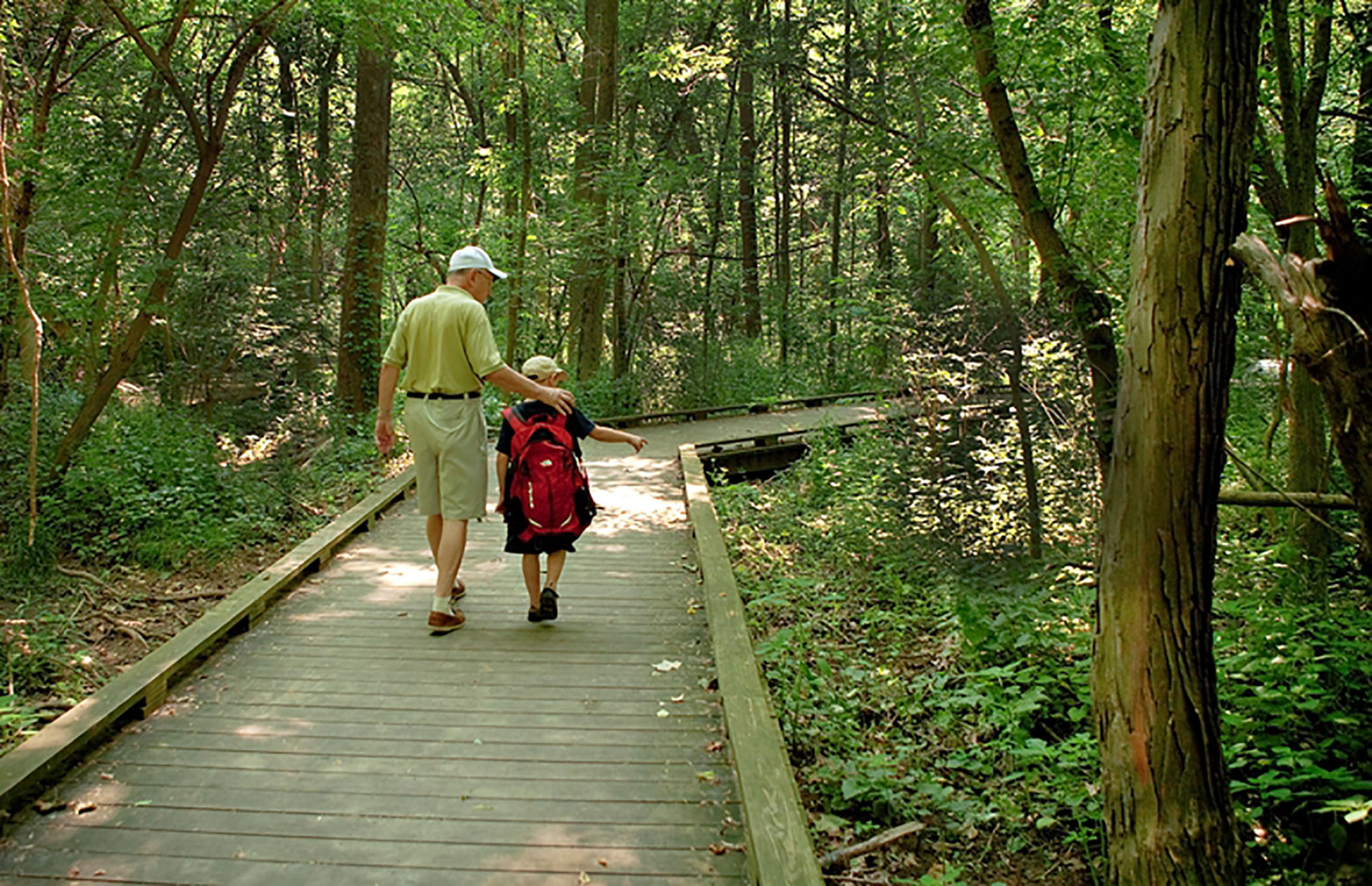 Walking in nature for movement